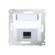 Simon 54 Premium Biały Pokrywa gniazd teleinf. na Keystone skośna pojedyncza z polem opisowym DKP1S.01/11