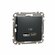 Gniazdo ładowania USB A+c 2 czarny, antracyt USB typ A, USB type C 12 W 2.4 A IP20 SDD114402 Sedna Design Schneider Electric