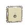 Gniazdo TV przelotowe (10dB) brzoza IP20 SDD180478 Sedna Elements Schneider Electric