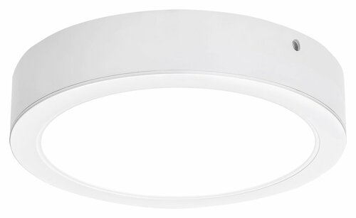 Lampa sufitowa Shaun2 24 W 4000 K 2600 lm IP20 biały 71194 Rabalux