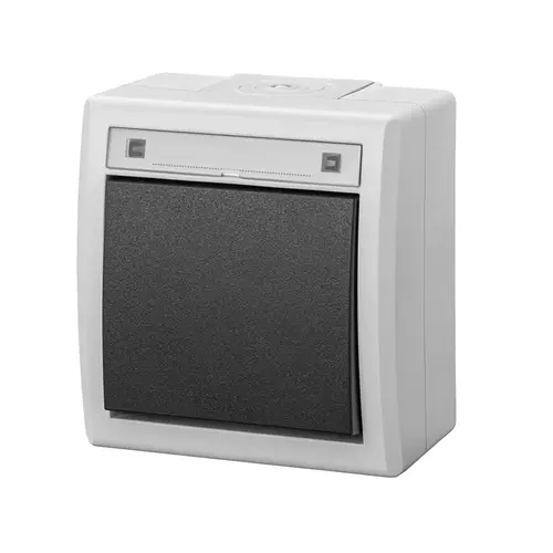 Łącznik natynkowy 1-biegunowy (schodowy) AQUANT 2K szary 7035/7043 IP55 Elektro-Plast Nasielsk