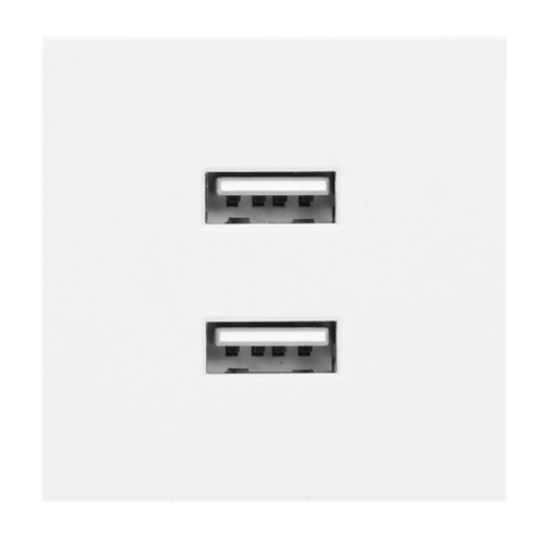 NOEN USB x 2, podwójny port modułowy 45x45mm z ładowarką USB, 2,1A 5V DC, biały