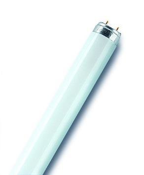 Świetlówka L T8 G13 36W 6000K 1600lm Osram
