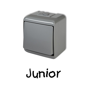Simon Basic