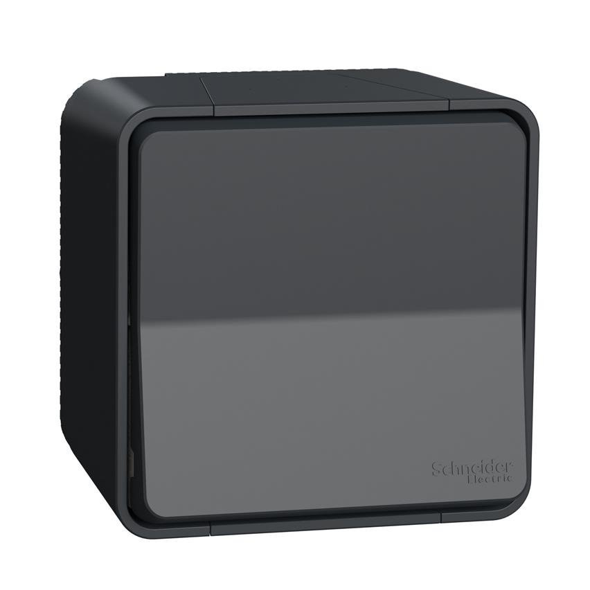 Przycisk antracytowy IP55 MUR35026 Mureva Schneider