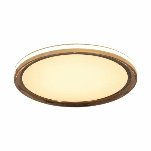 Lampa sufitowa Apart LED Max 24W IP20