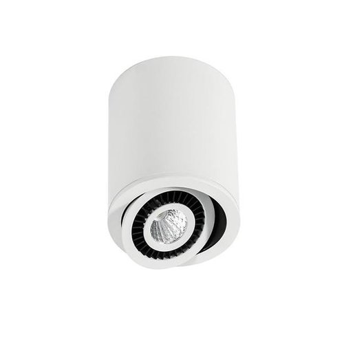 Oprawa sufitowa natynkowa reflektor tuba regulowany czarny biały Italux Subba 4000K SLC7390/7W 4000K WH+BL