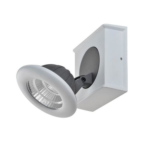 Lampa ścienna kinkiet LED Catalina metalowa minialistyczna popielata biała regulowana Italux FH31781A13